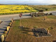 Top Ingelheim am Rhein