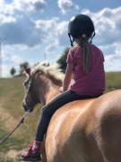 Top Benešov u Semil