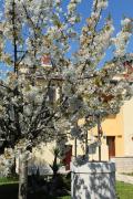 Top Poreč