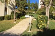 Top Cassis