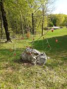 Top Forgaria nel Friuli