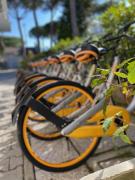 Top Milano Marittima