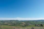 Top Pineto