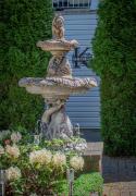 Top Comox