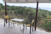 Top Koroni