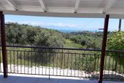 Top Koroni