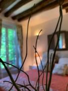 Charming Latin Quarter Courtyard Duplex for four