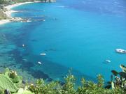 Top Capo Vaticano