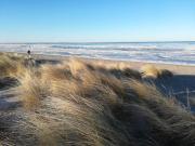 Top Wangerland