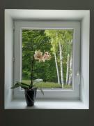 Top Colleville-Montgomery