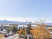 Alaska 8 Poley Cow Lane