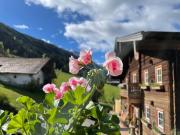 Top Untertauern