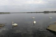 Top Rīga