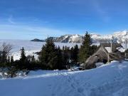 Alpine Chalet Velika Planina - Irenca - I Feel Alps