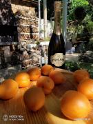 Апартаменты в гостевом доме