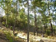 Top El Rompido Top El Rompido