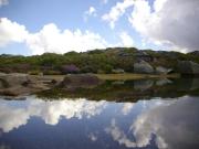 Top Penhas da Saúde