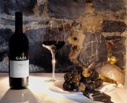 Top Bellagio Top Bellagio