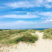 Top Hornbæk