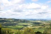 Top Montepulciano