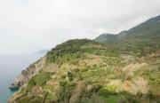 Top Corniglia
