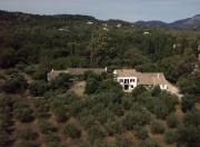 Top Danilia Top Danilia