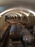 Top Greve in Chianti