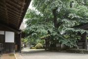 Top Koyasan