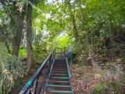 Top Neznašov Top Neznašov