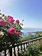 Top Ohrid