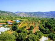 Top Santa Cruz de Moya