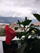 Top Malcesine