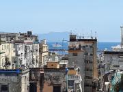Top Naples