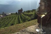 Top Pinzolo