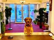 Top Kyle of Lochalsh