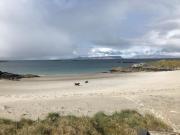Top Mallaig