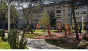 Top Sinaia