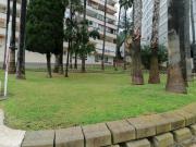 Top Benidorm