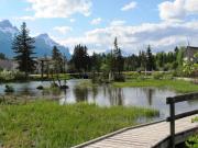 Top Canmore