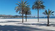 Top Alcudia