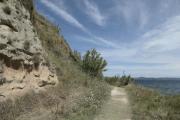 Top Susak
