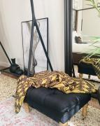 Top Mestre Top Mestre