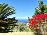 Top Santa-Reparata-di-Balagna