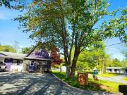 Top Shelburne