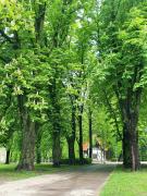 PARKA NAMIŅŠ - 2 stāvu namiņš Viesturdārzā pērļu medniekiem!