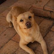 Top Giffoni Sei Casali