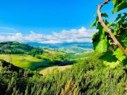 Top Castiglione Messer Raimondo