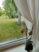 Top Ventspils