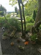 Apartment Green Elephant