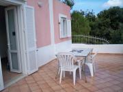 Top Ponza